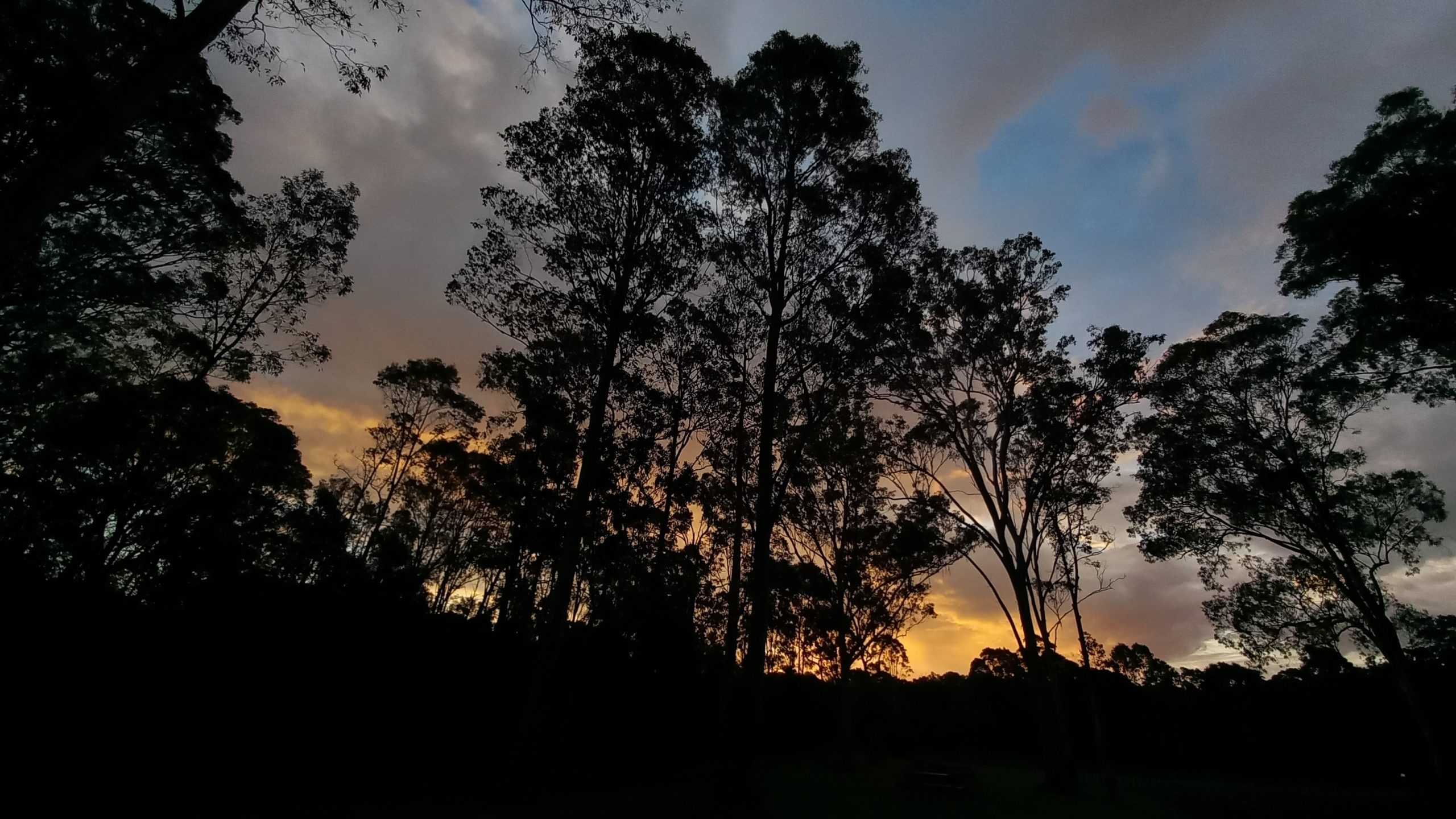 20250515_165234-scaled-jpg