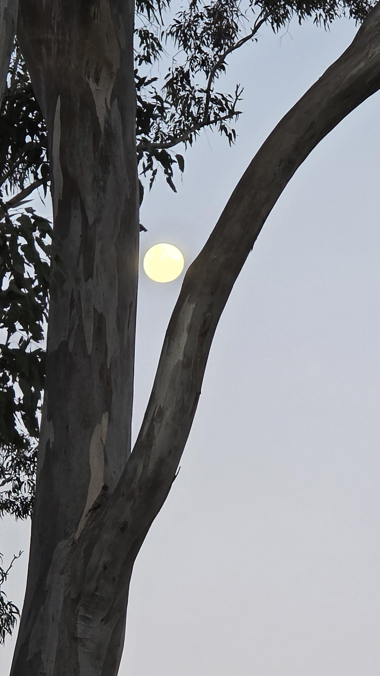 20250709_170720-scaled-jpg