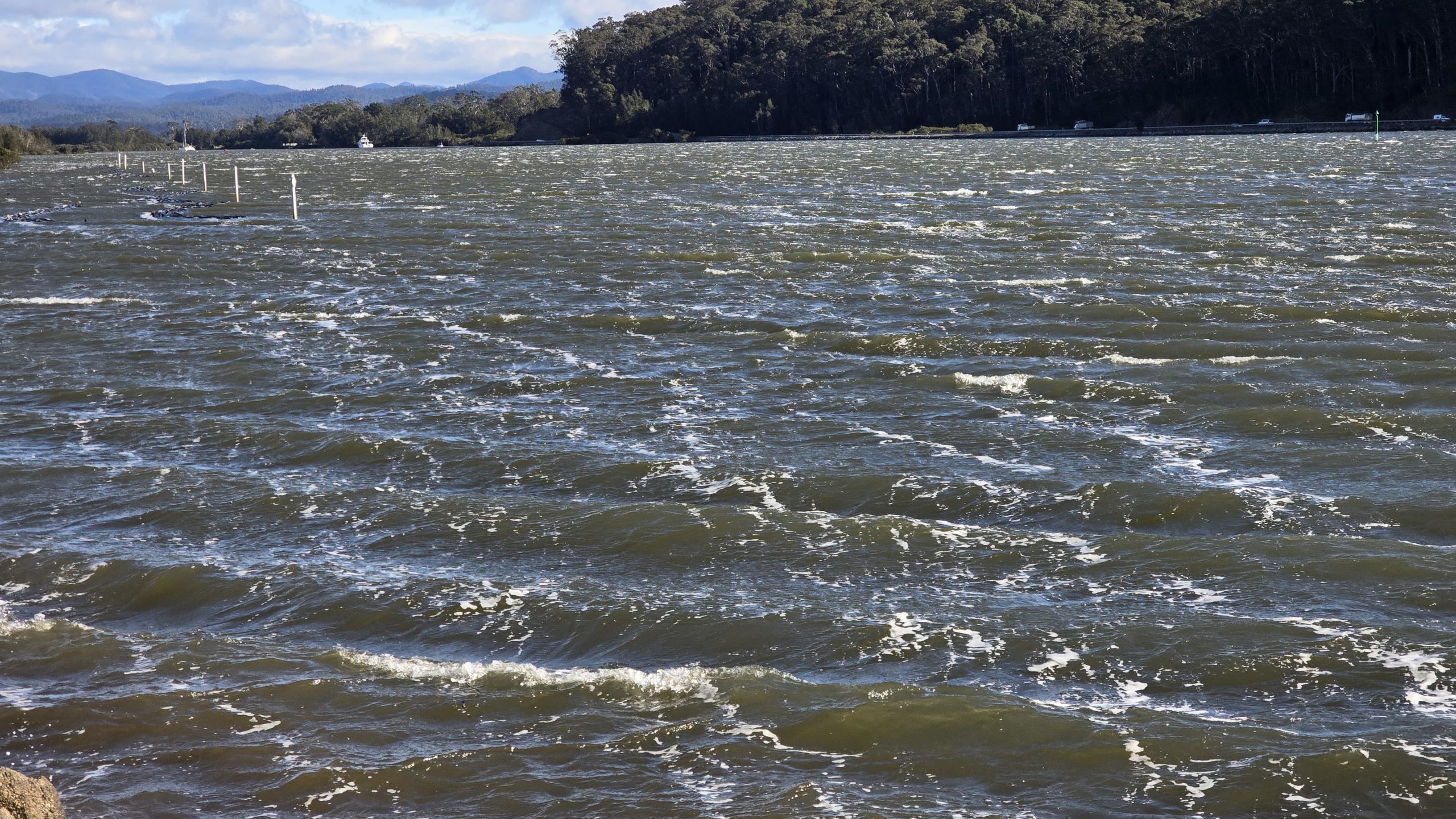 20250710_101503-scaled-jpg