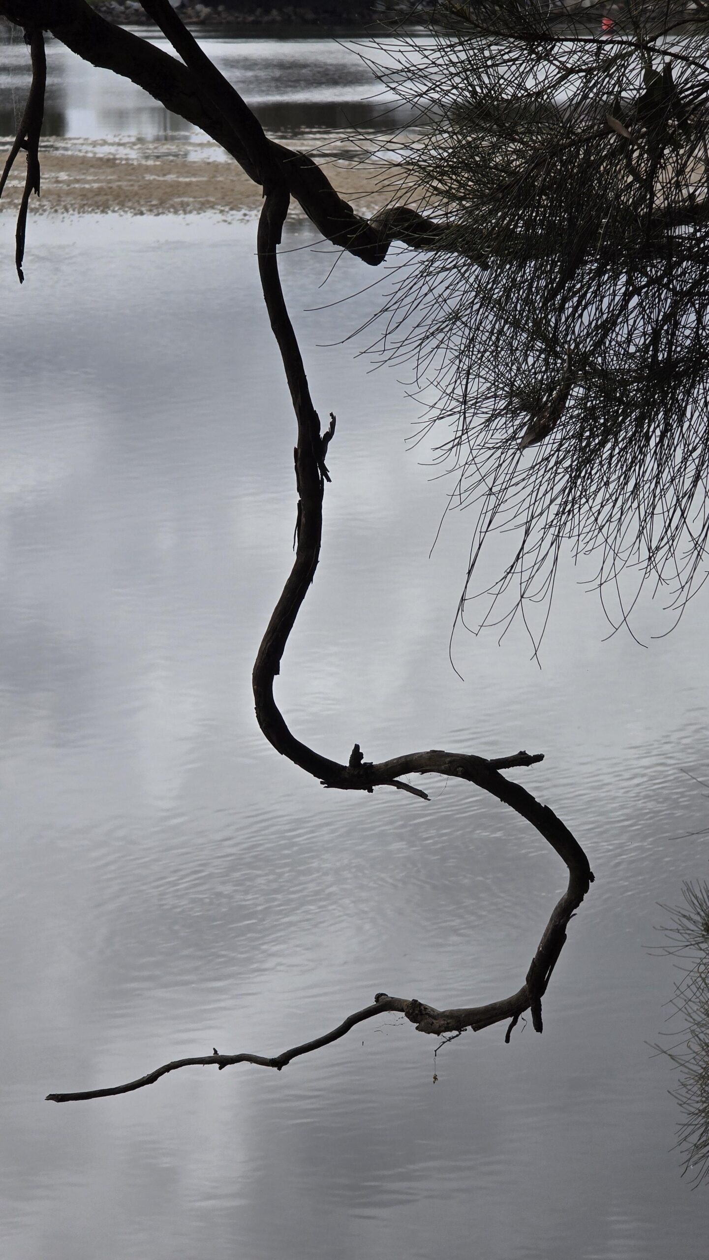 20250809_123713-scaled-jpg