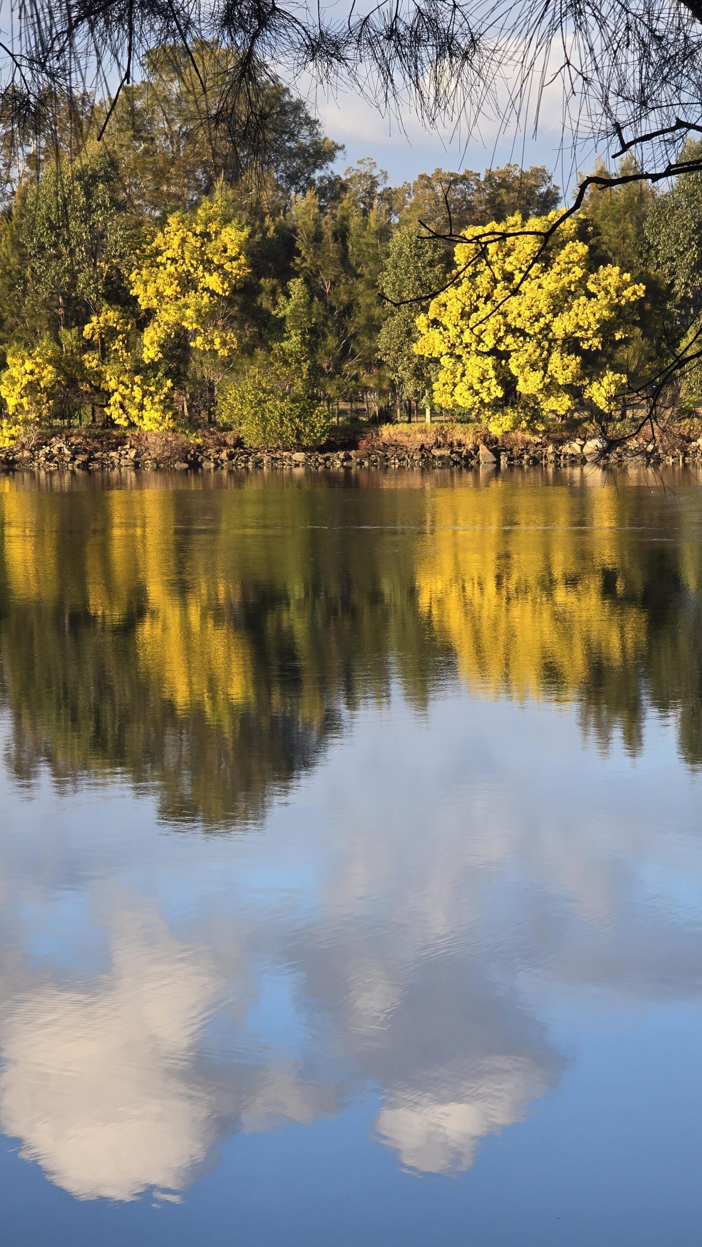 20250810_073823-scaled-jpg