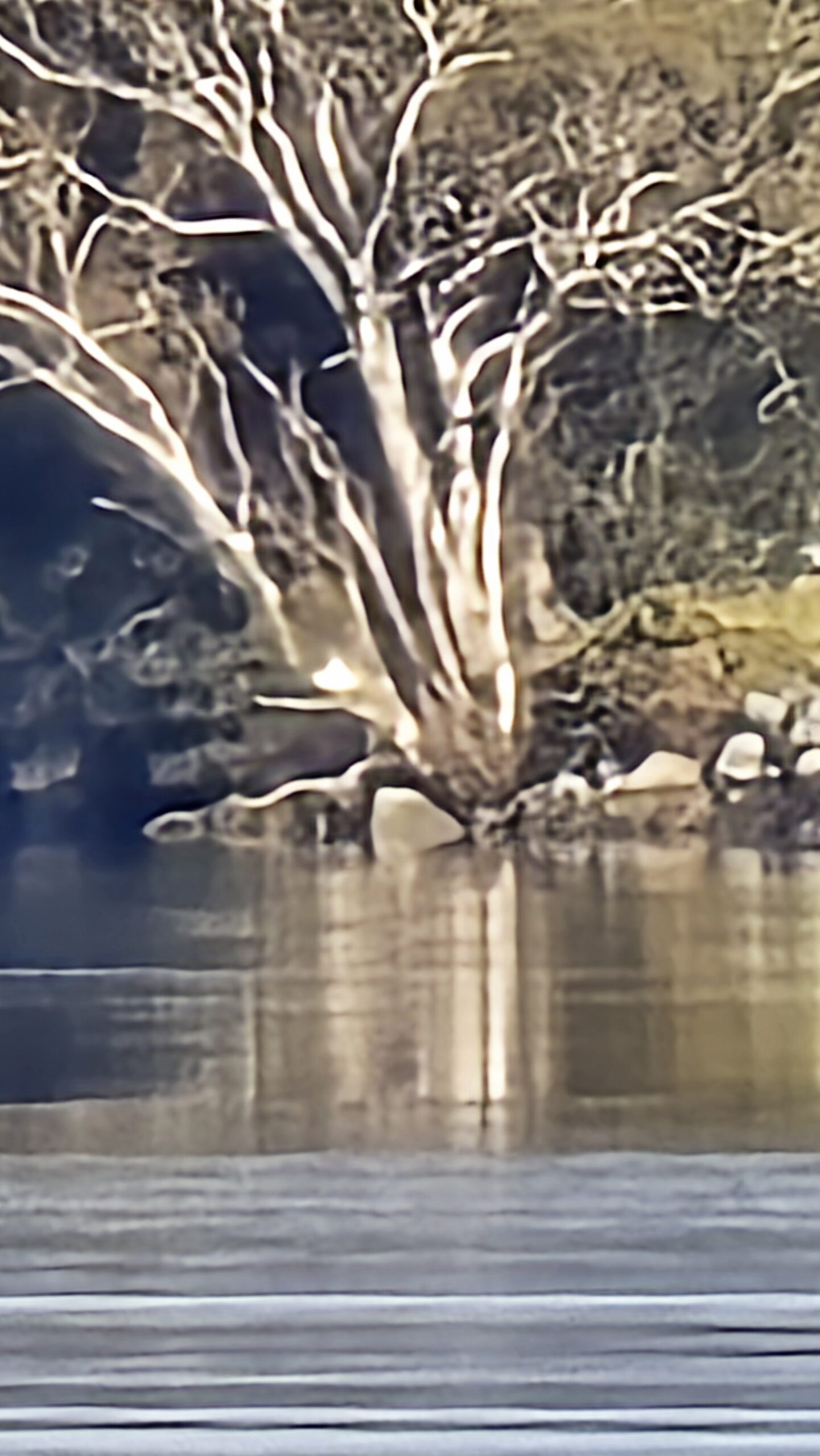 20250810_084746-scaled-jpg