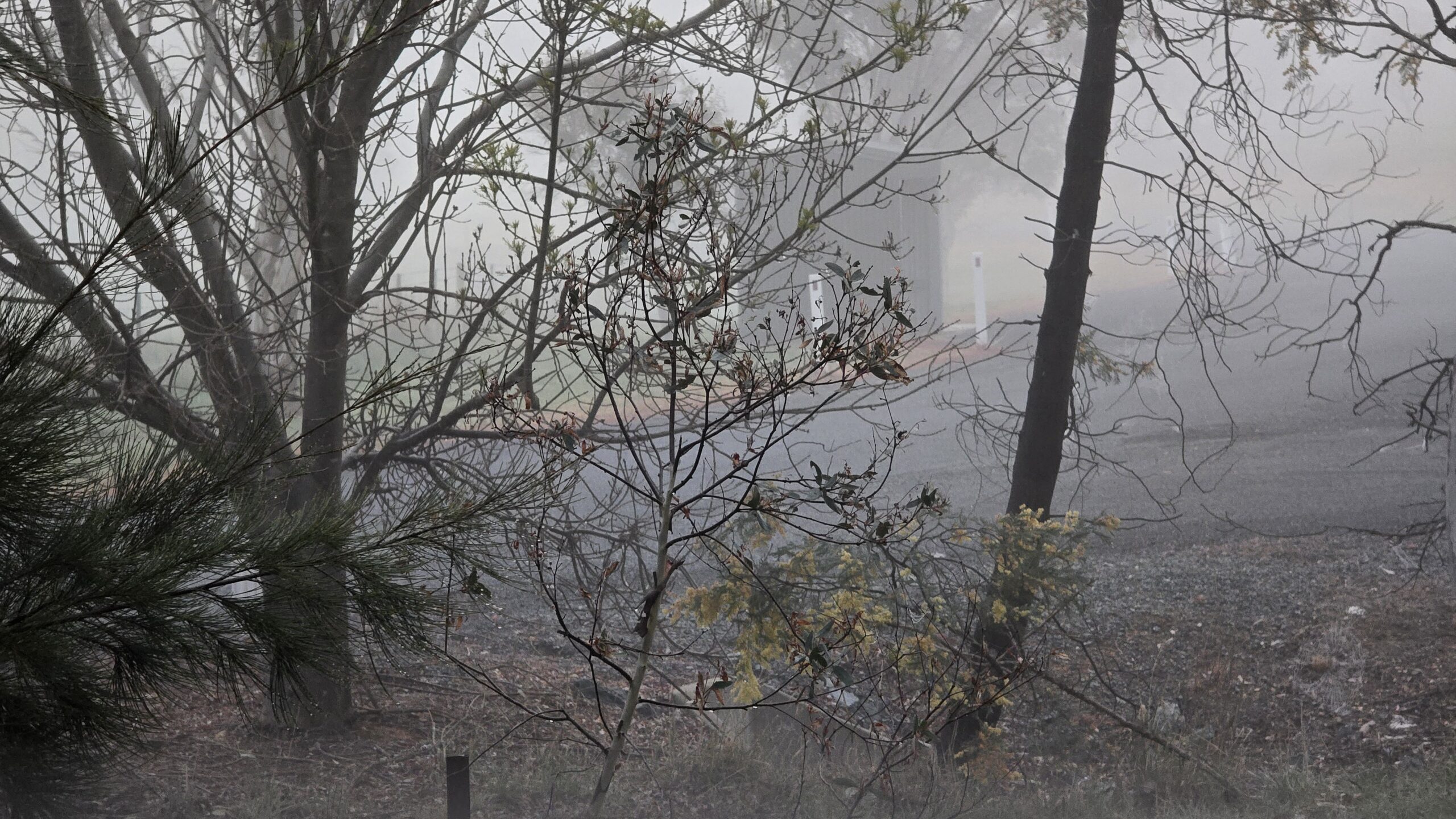 20250930_053216-scaled-jpg