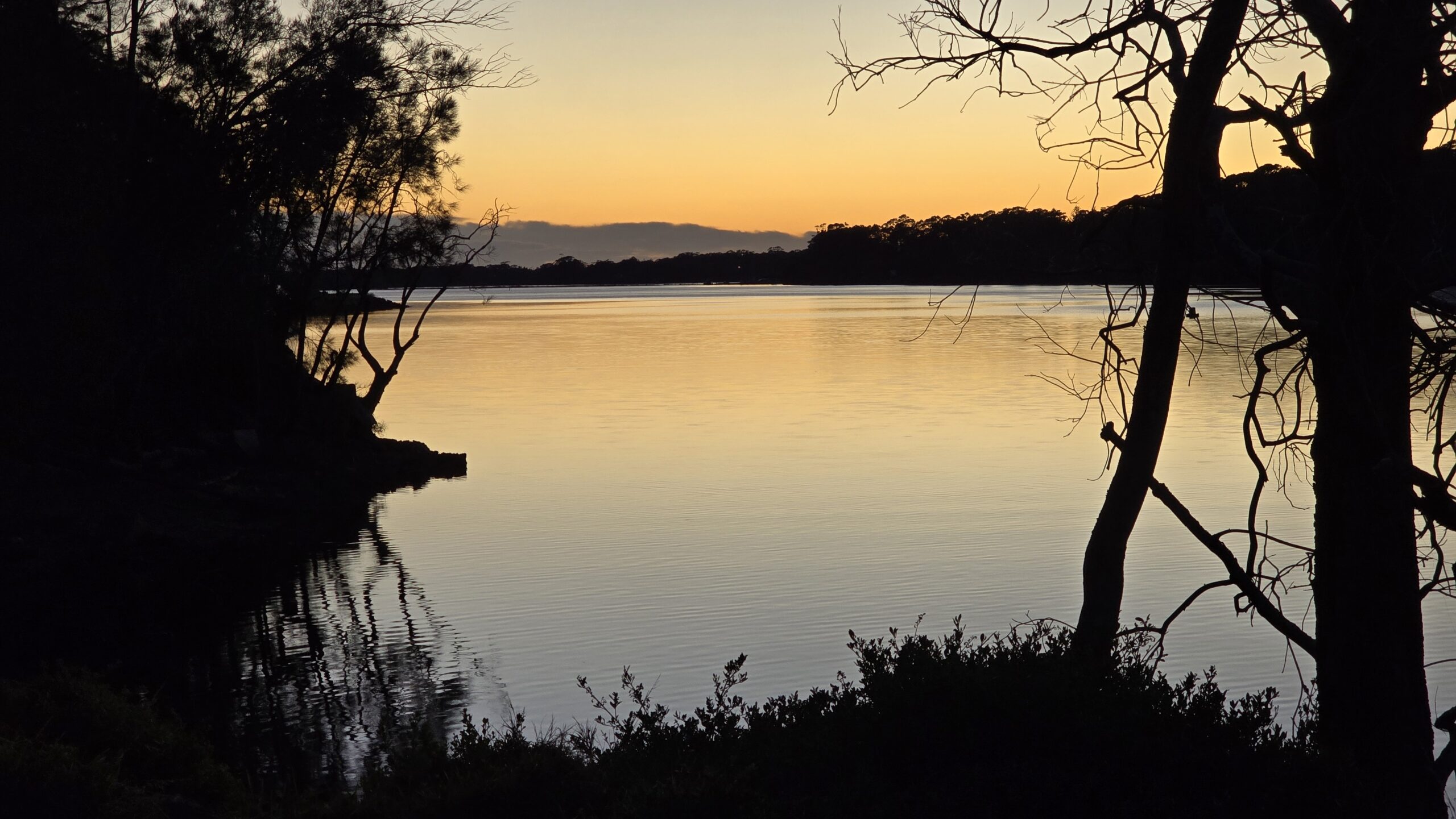 20251222_052454-scaled-jpg