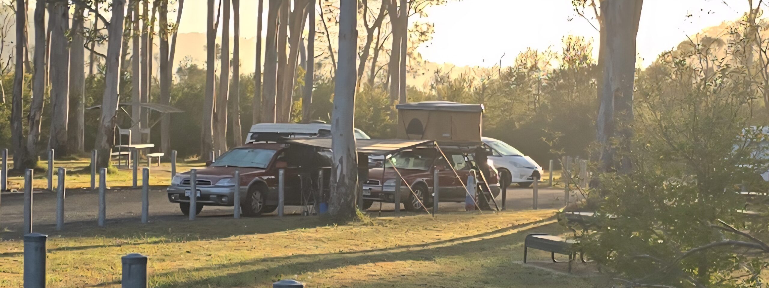 20251224_062716-scaled-jpg