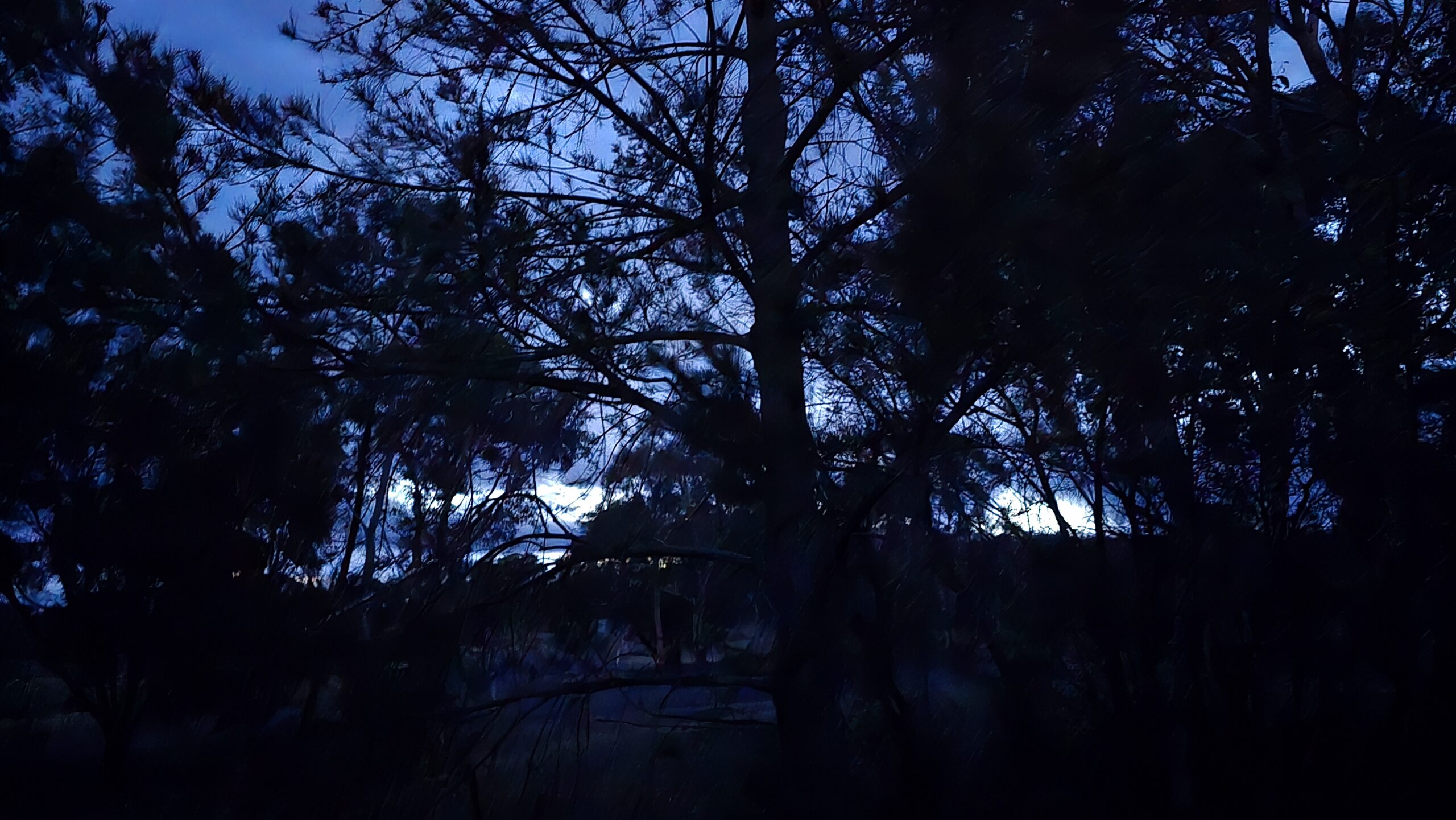 20260116_051250-scaled-jpg