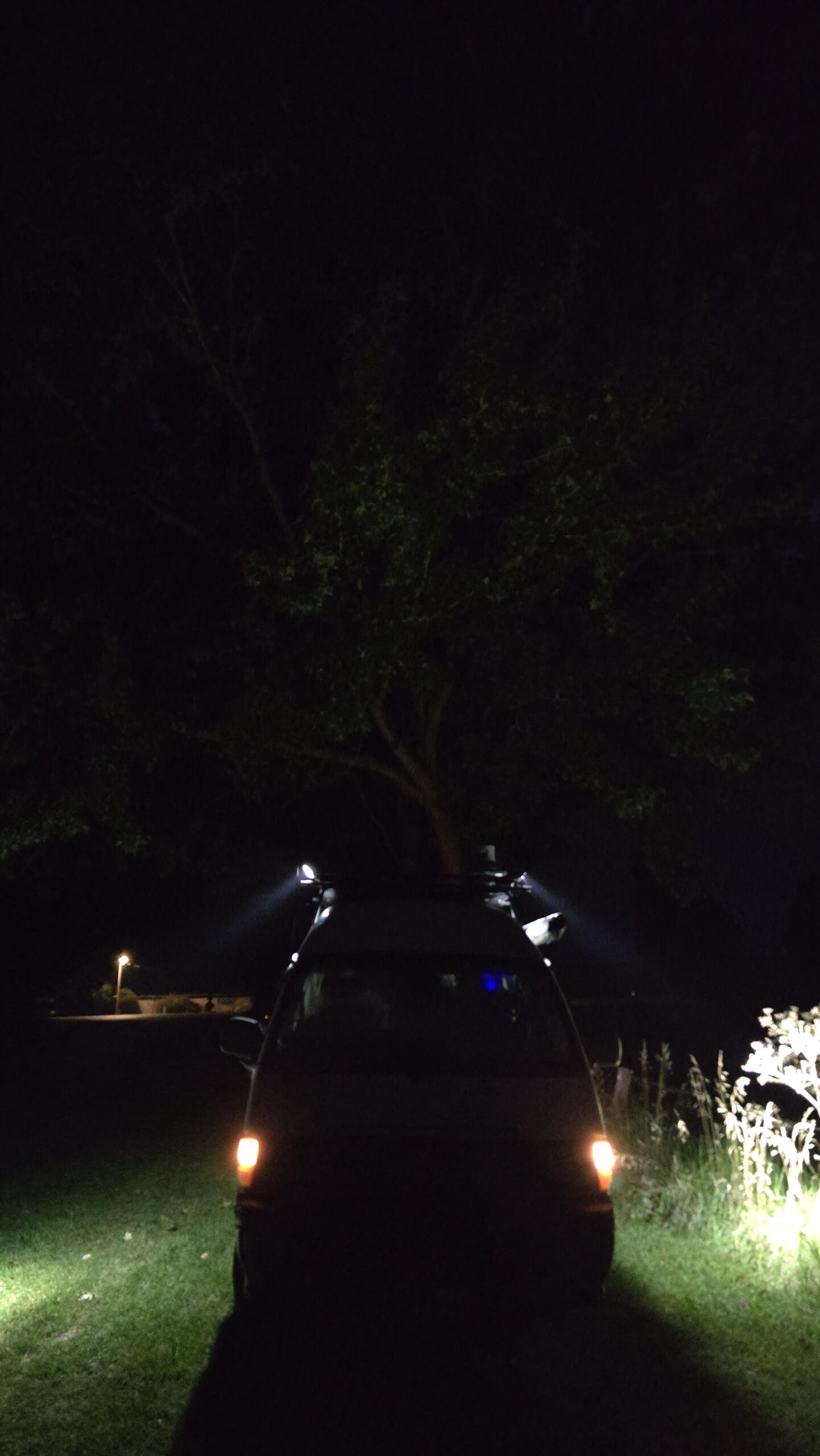 20260129_051627-scaled-jpg