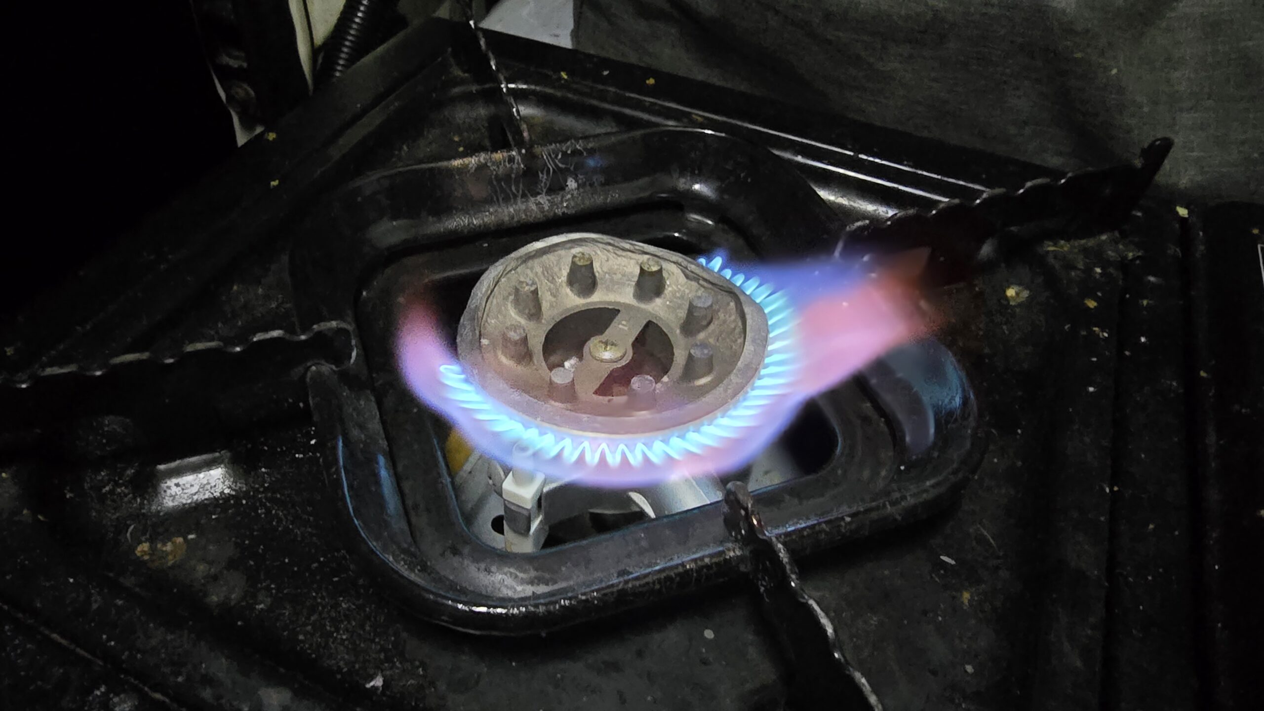 20260130_044132-scaled-jpg